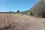 Istra, Umag - okolica, poljoprivredno zemljište, 4.900m2