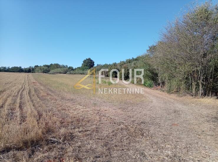 Istra, Umag - okolica, poljoprivredno zemljište, 4.900m2