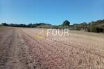 Istra, Umag - okolica, poljoprivredno zemljište, 4.900m2 — fotografija 2