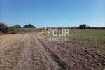 Istra, Umag - okolica, poljoprivredno zemljište, 4.900m2 — fotografija 3