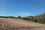 Istra, Umag - okolica, poljoprivredno zemljište, 4.900m2 — fotografija 4