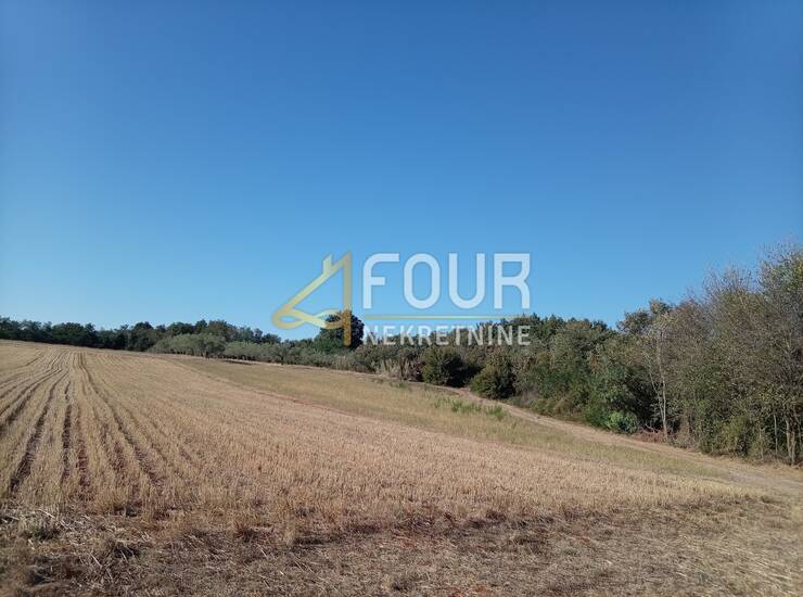 Istra, Umag - okolica, poljoprivredno zemljište, 4.900m2 — fotografija 4