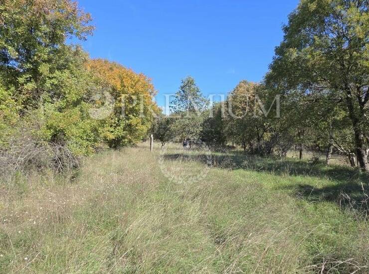 Vrbnik, okolica, prodaja građevinskog zemljišta, prilika za investitore! — fotografija 5