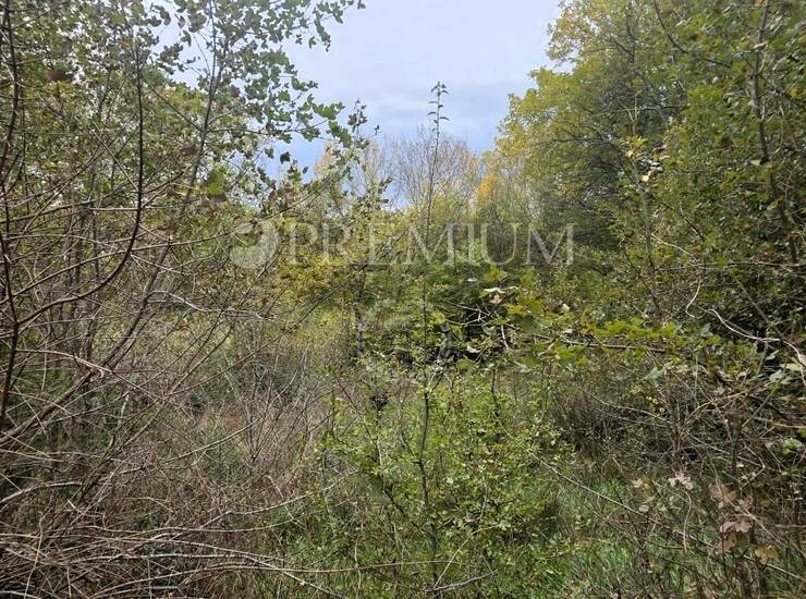 Uvala Soline, poljoprivredno zemljište 3.640 m! — fotografija 3