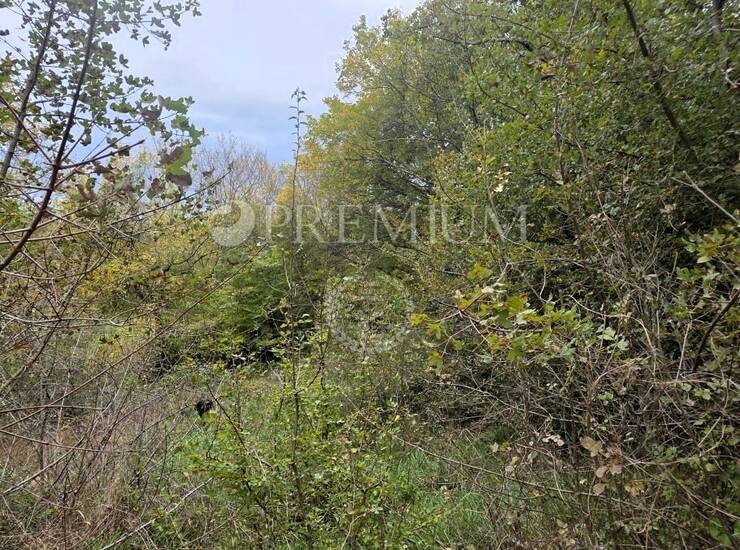 Uvala Soline, poljoprivredno zemljište 3.640 m! — fotografija 4