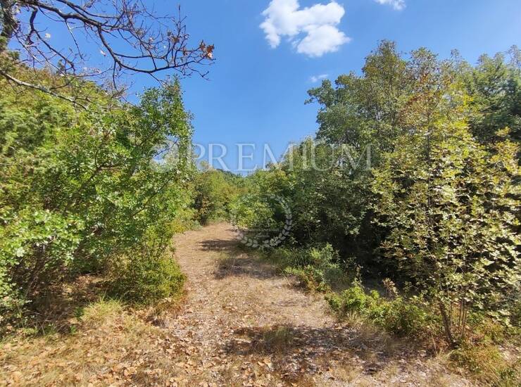 Pinezići, poljoprivredno zemljište 150 m od mora! — fotografija 6