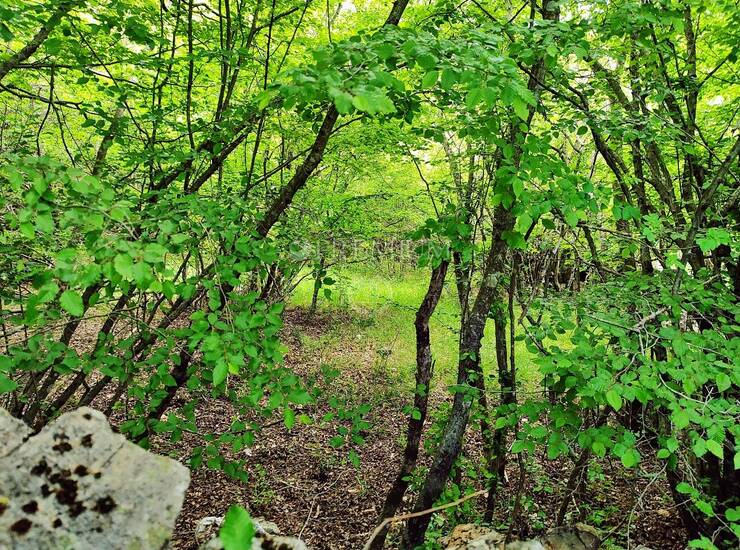 Okolica Vrbnika, prodaje se ravno poljoprivredno zemljište uz prometnicu! — fotografija 4