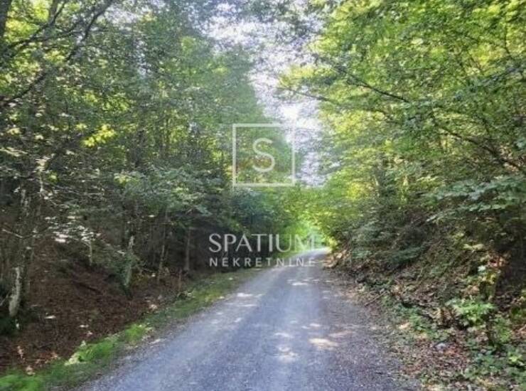 MRKOPALJ, SAMO U NAŠOJ PONUDI, POLJOPRIVREDNO ZEMLJIŠTE — fotografija 6