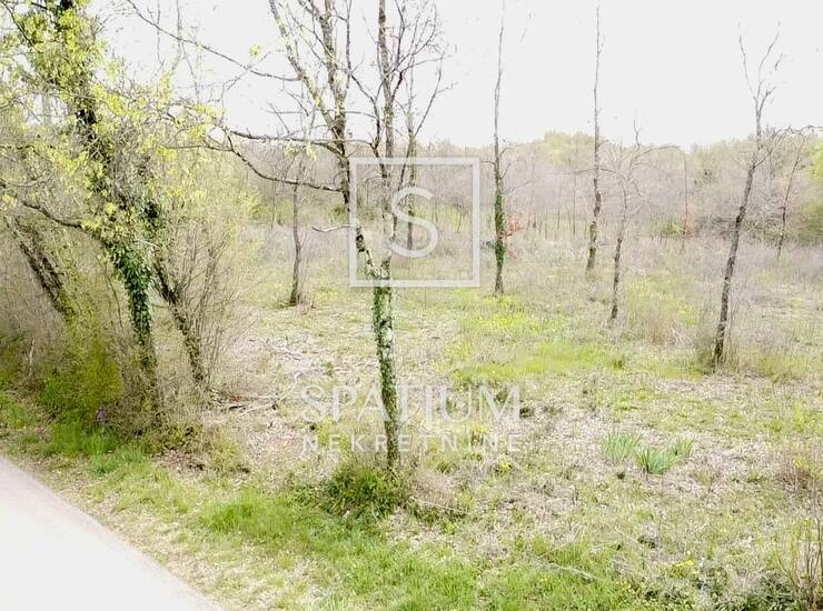 BARBAN,OKOLICA, GRAĐEVINSKO ZEMLJIŠTE NA MIRNOJ LOKACIJI — fotografija 4