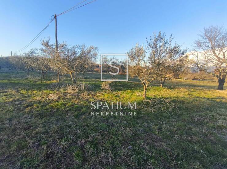 MOTOVUN, POLJOPRIVREDNO ZEMLJIŠTE 14.490 M2 — fotografija 6