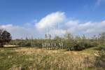 KRNICA, MASLINIK OD 7623 m2 SA 240 MASLINA — fotografija 4