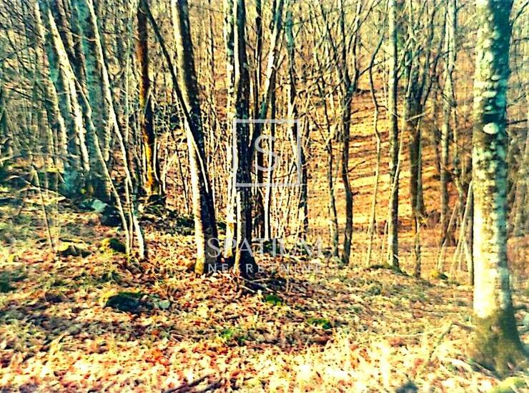 ŠAPJANE, POLJOPRIVREDNO ZEMLJIŠTE — fotografija 6