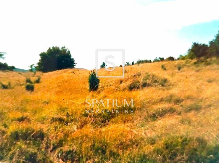 PASJAK, POLJOPRIVREDNO ZEMLJIŠTE — fotografija 5
