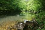 Ogulin, Tounj, 17.425m2, zemljište turističke namjene — fotografija 6
