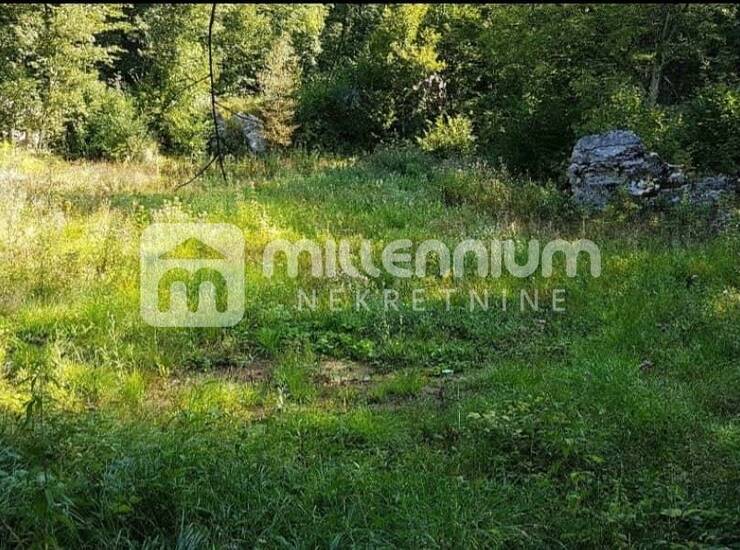 Lisina, poljoprivredno zemljište od 3.478m2  — fotografija 5