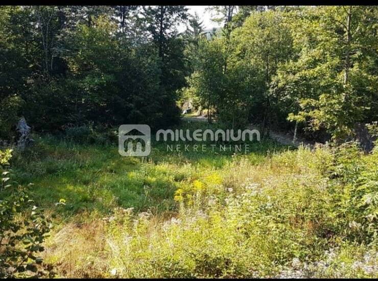Lisina, poljoprivredno zemljište od 3.478m2  — fotografija 6