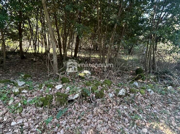 Istra, okolica Labina, građevinsko zemljište od 637m2 — fotografija 5