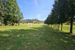 Gorski kotar, Stari Laz, 1.400m2, građevinsko zemljište — fotografija 5