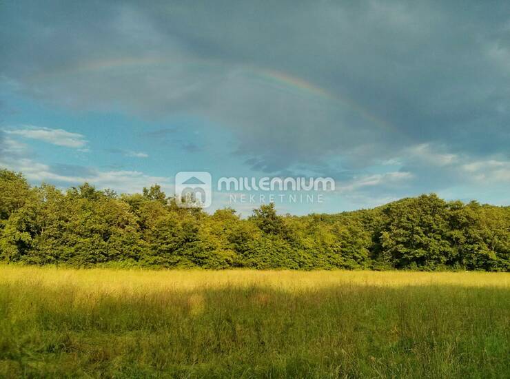Istra, Labin, poljoprivredno zemljište od 24.999m2 — fotografija 5