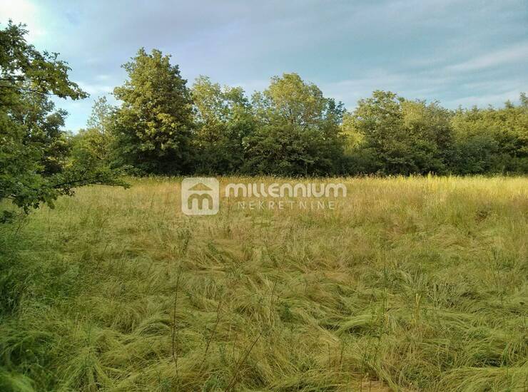 Istra, Labin, poljoprivredno zemljište od 24.999m2 — fotografija 6