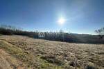 Istra, Karojba, građevinsko zemljište, 3.000m2 — fotografija 5