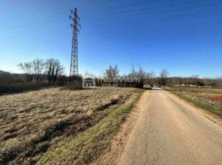 Istra, Karojba, građevinsko zemljište, 3.000m2 — fotografija 6