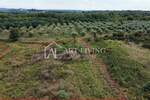Umag, okolica - Atraktivno poljoprivredno zemljište, 2.600 m² na odličnoj lo — fotografija 6