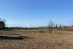 Brtonigla, okolica - prostrano poljoprivredno zemljište, 3000 m2 — fotografija 6