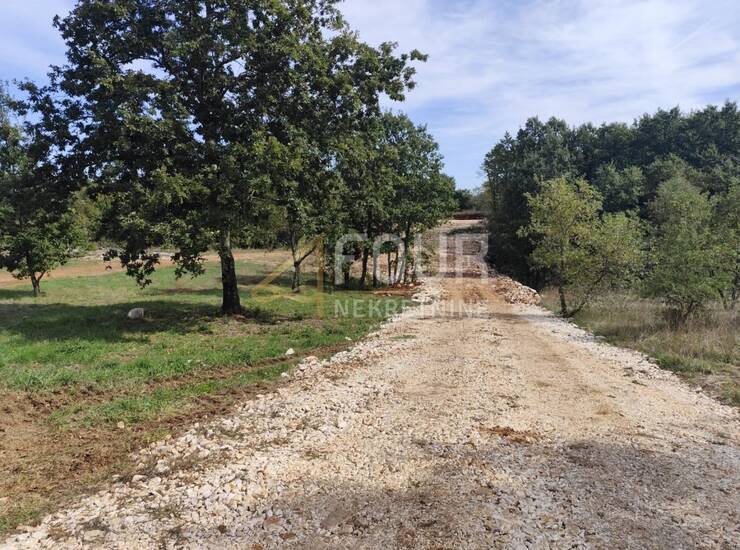 Istra, Barban, građevinsko zemljište, 910m2 — fotografija 2