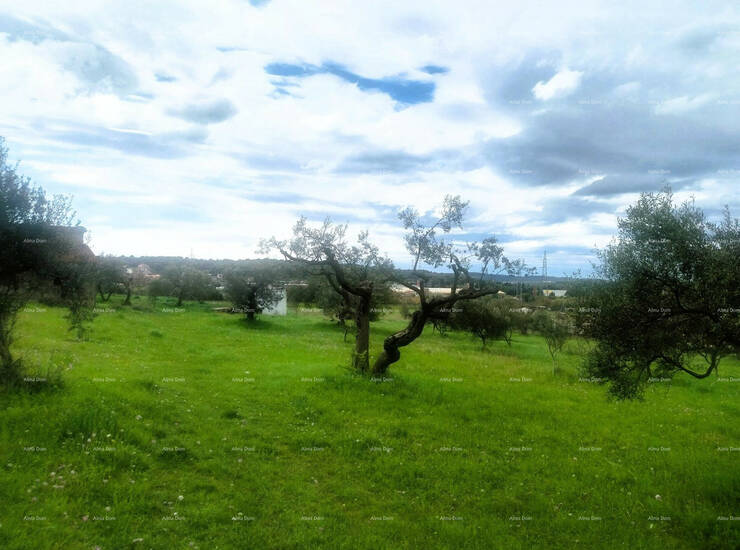 U Puli, u naselju Šijana, prodaje se građevinsko zemljište ukupne površ... — fotografija 5