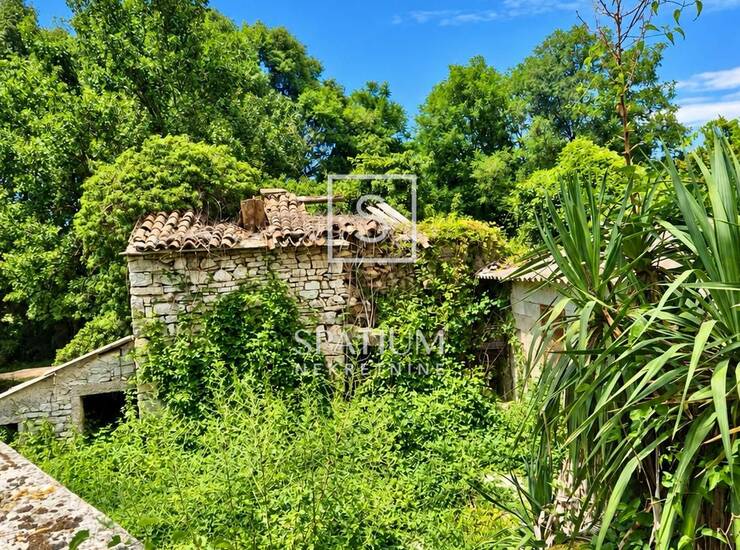 BARBAN, STARINA S GRAĐEVINSKIM ZEMLJIŠTEM 511 M2 — fotografija 2