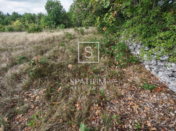 ŠUMBER, POLJOPRIVREDNO ZEMLJIŠTE, LIVADA — fotografija 4