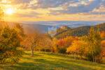 Istra, Motovun, pravilno građevinsko zemljište za Vaš dom u Istri! — fotografija 2