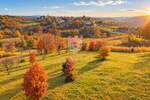 Istra, Motovun, pravilno građevinsko zemljište za Vaš dom u Istri! — fotografija 5