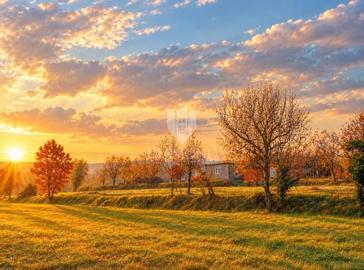 Istra, Motovun, pravilno građevinsko zemljište za Vaš dom u Istri! — fotografija 6