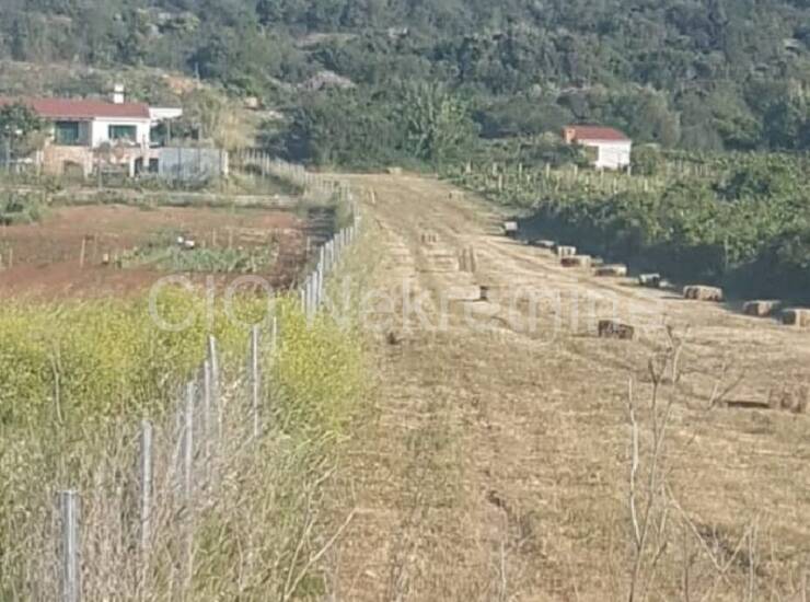 Vis, poljoprivredno zemljište 3.000m2, prodaja — fotografija 3