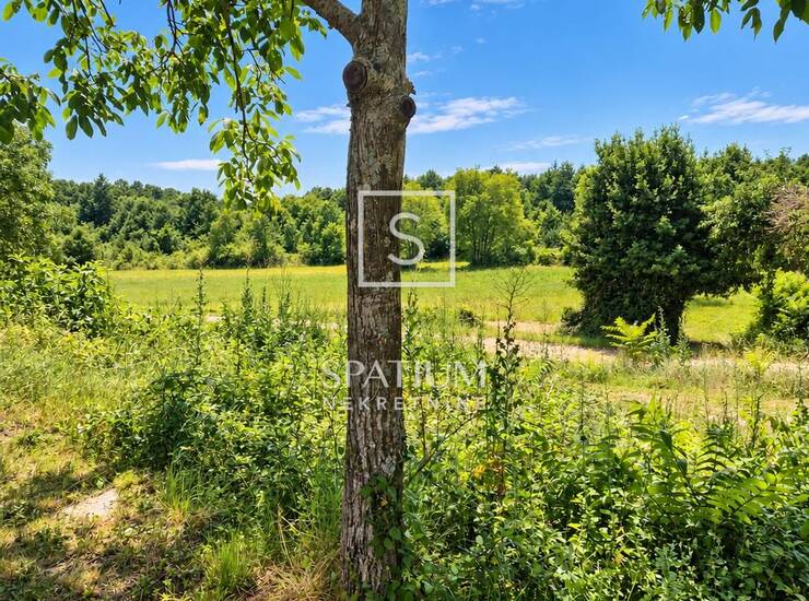 BARBAN, GRAĐEVINSKO ZEMLJIŠTE 1058 M2 - DVIJE UCRTANE GRAĐEVINE I PRIKLJUČC — fotografija 3