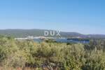 OTOK KRK, KRK - Maslinik na dobroj lokaciji — fotografija 3