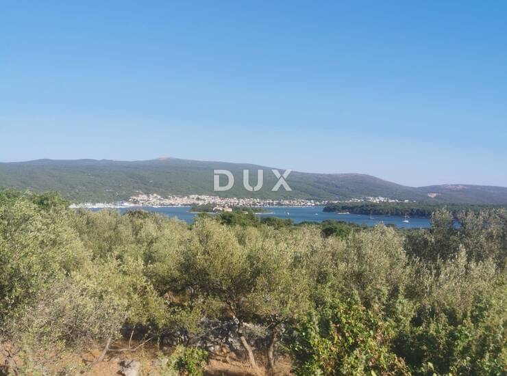 OTOK KRK, KRK - Maslinik na dobroj lokaciji — fotografija 3
