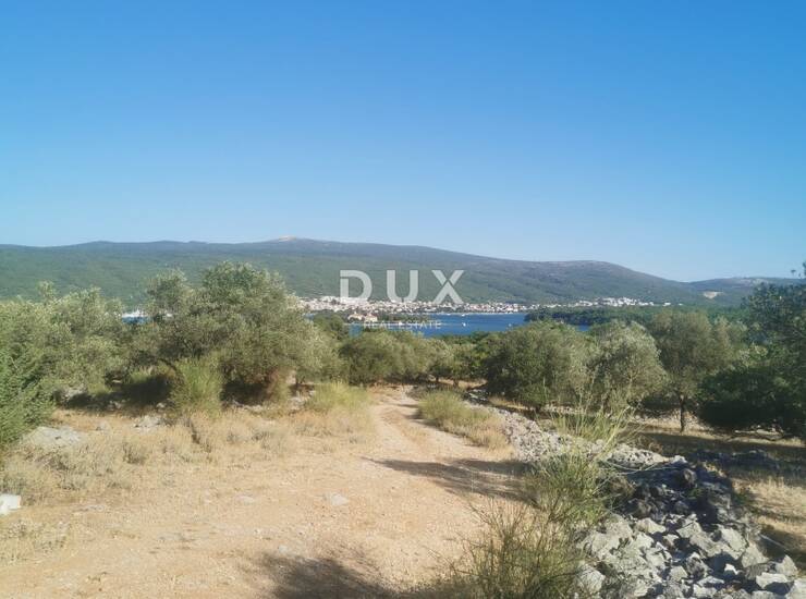 OTOK KRK, KRK - Maslinik na dobroj lokaciji — fotografija 4