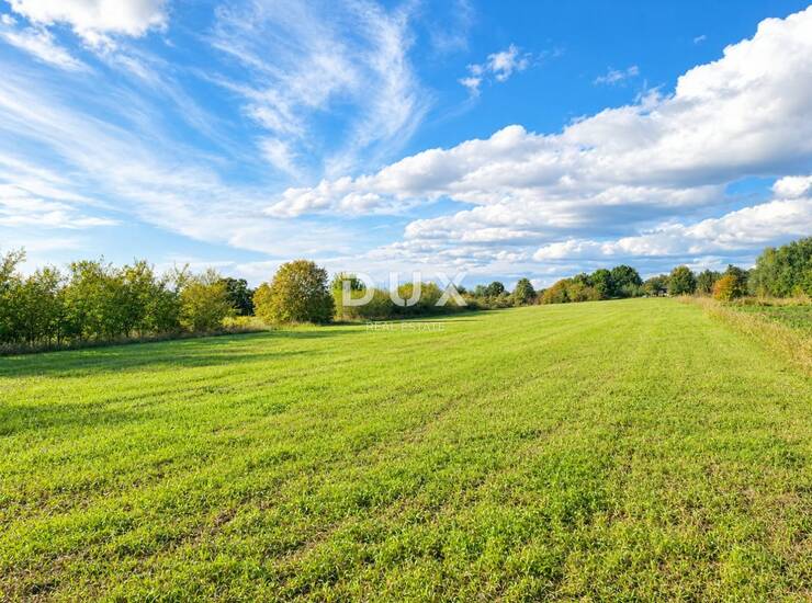 Istra, Bale, zemljište, 8.650 m2