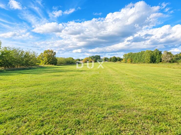 Istra, Bale, zemljište, 8.650 m2 — fotografija 3