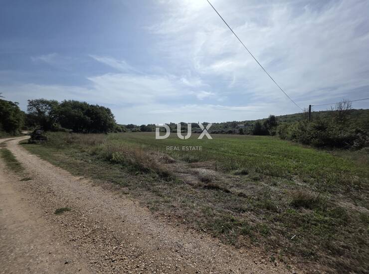 Istra, Rovinj, poljoprivredno zemljište, 12.730 m2 — fotografija 3