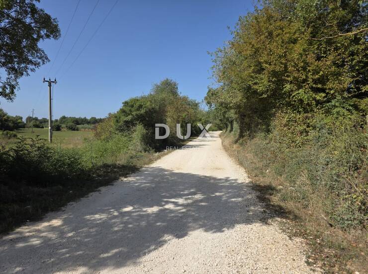 Istra, Rovinj, poljoprivredno zemljište, 12.730 m2 — fotografija 5
