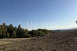 Građevinsko zemljište s panoramskim pogledom – Šestine — fotografija 5