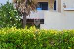 Pag, Gajac, apartman 40.57m2 — fotografija 2