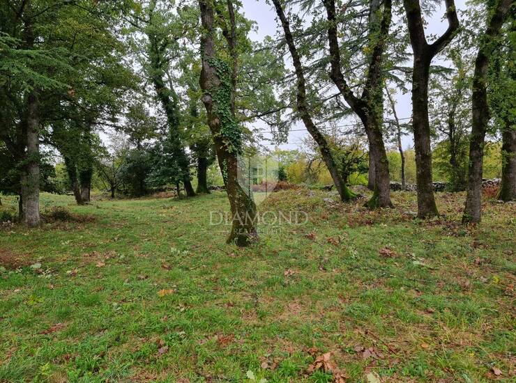 KRK GOSTINJAC, kuća za adaptaciju na velikoj okućnici — fotografija 4