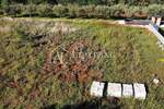 Buje, okolica - Građevinsko zemljište 544 m² u idiličnom istarskom krajolik — fotografija 2