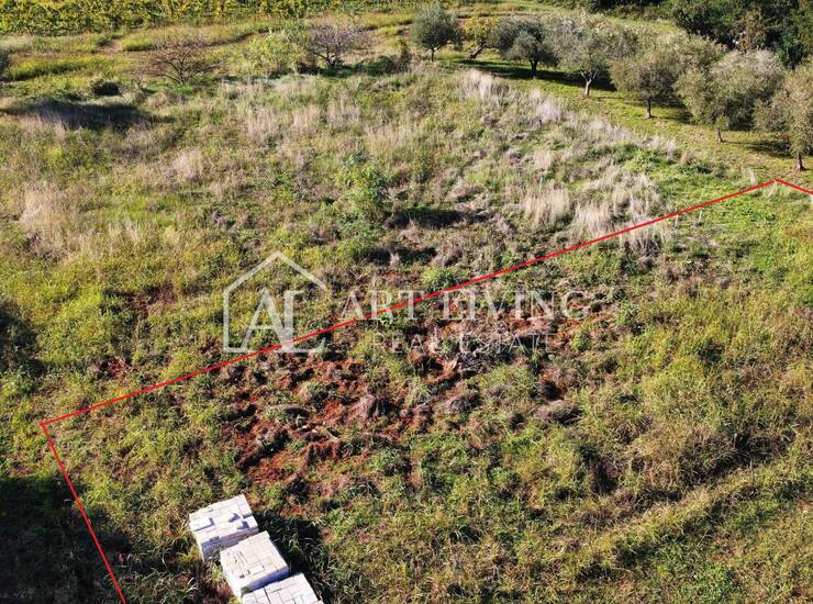 Buje, okolica - Građevinsko zemljište 544 m² u idiličnom istarskom krajolik — fotografija 3