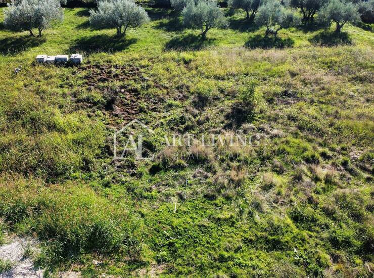 Buje, okolica - Građevinsko zemljište 544 m² u idiličnom istarskom krajolik — fotografija 4